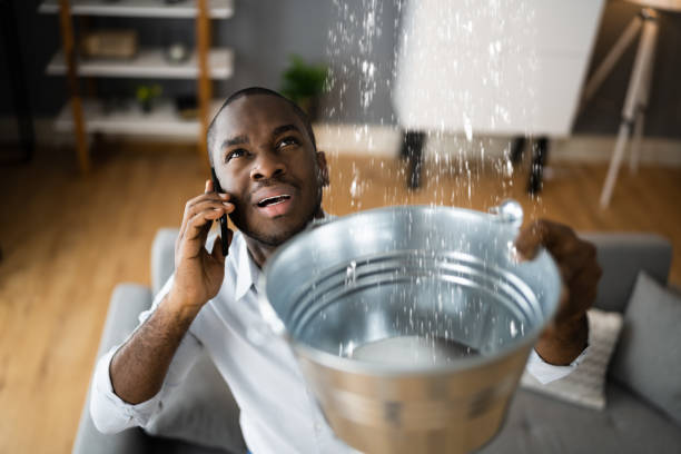 Best Water damage contractors near me  in Woodside, PA