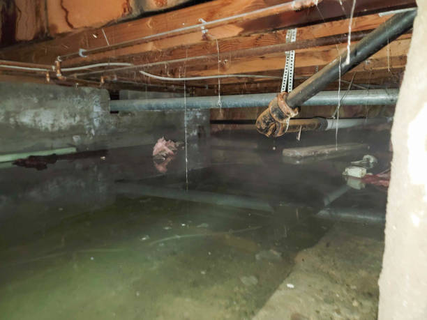 Best Water damage restoration cost  in Woodside, PA