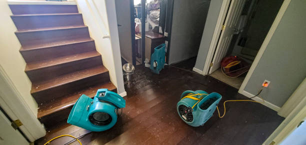Best Basement water damage restoration  in Woodside, PA