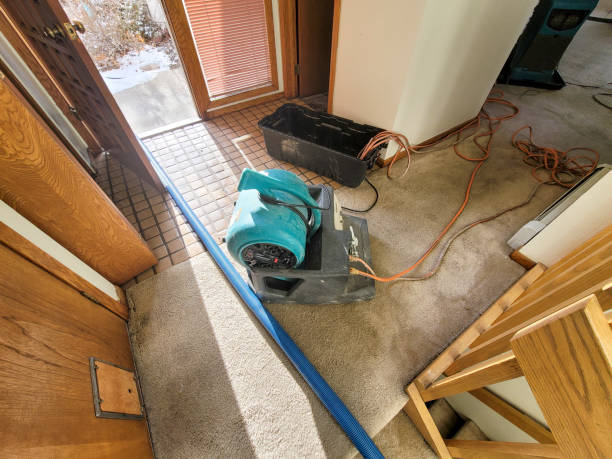 Best Ceiling water damage repair  in Woodside, PA