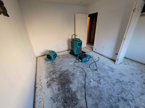 Best Water damage restoration near me  in Woodside, PA