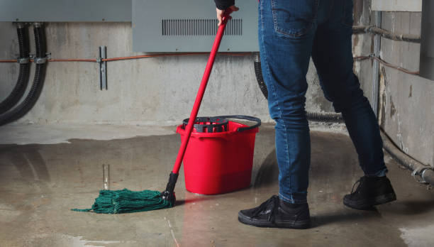  Woodside, PA Water damage restoration Pros