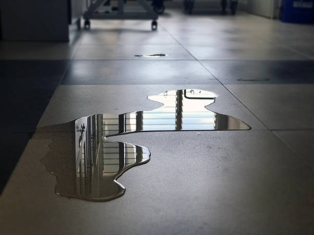 Best 24-hour water damage restoration  in Woodside, PA