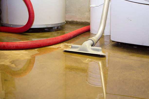 Best Water damage cleanup near me  in Woodside, PA