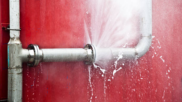Best Ceiling water damage repair  in Woodside, PA